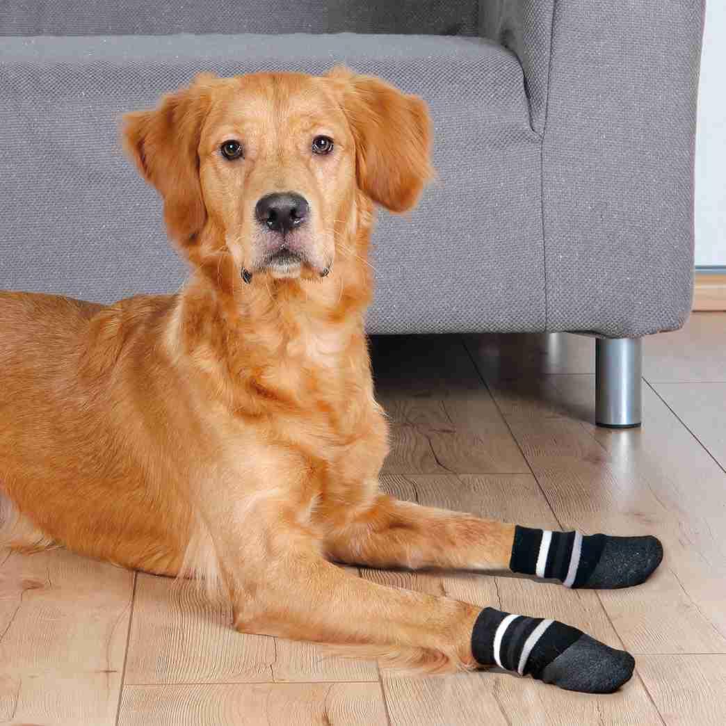 TRIXIE Hundesocken, Anti-Rutsch mit Rundum-Gummierung, S–M, schwarz