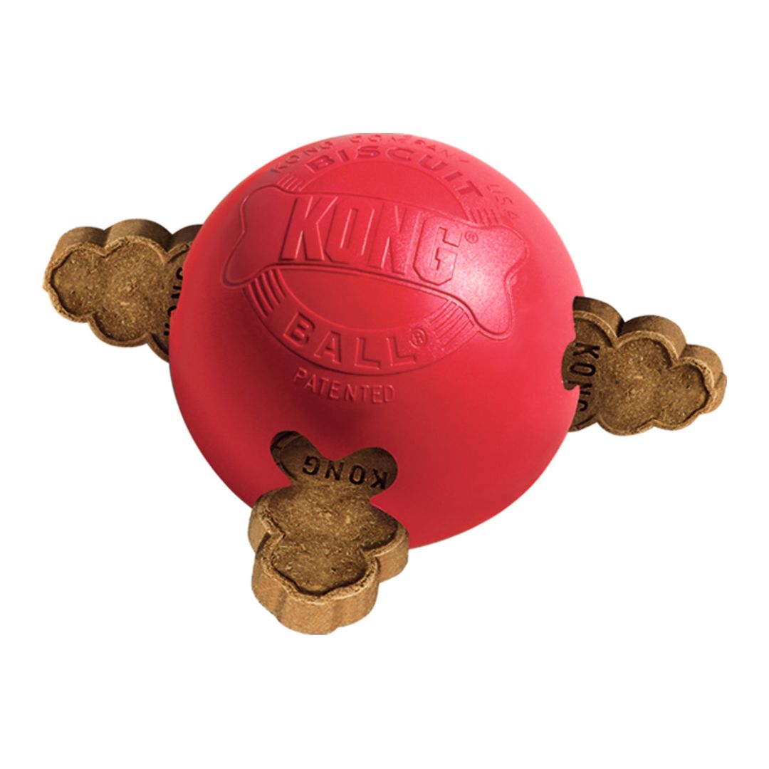 HUNTER Hundespielzeug KONG® Biscuit Ball™ Ø = 7 cm