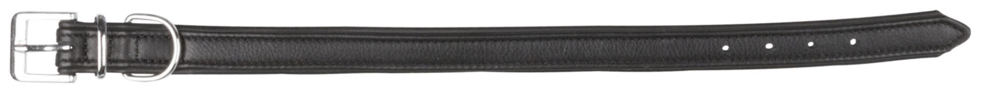 TRIXIE Active Comfort Halsband, Leder, S: 31–37 cm / 25 mm, schwarz