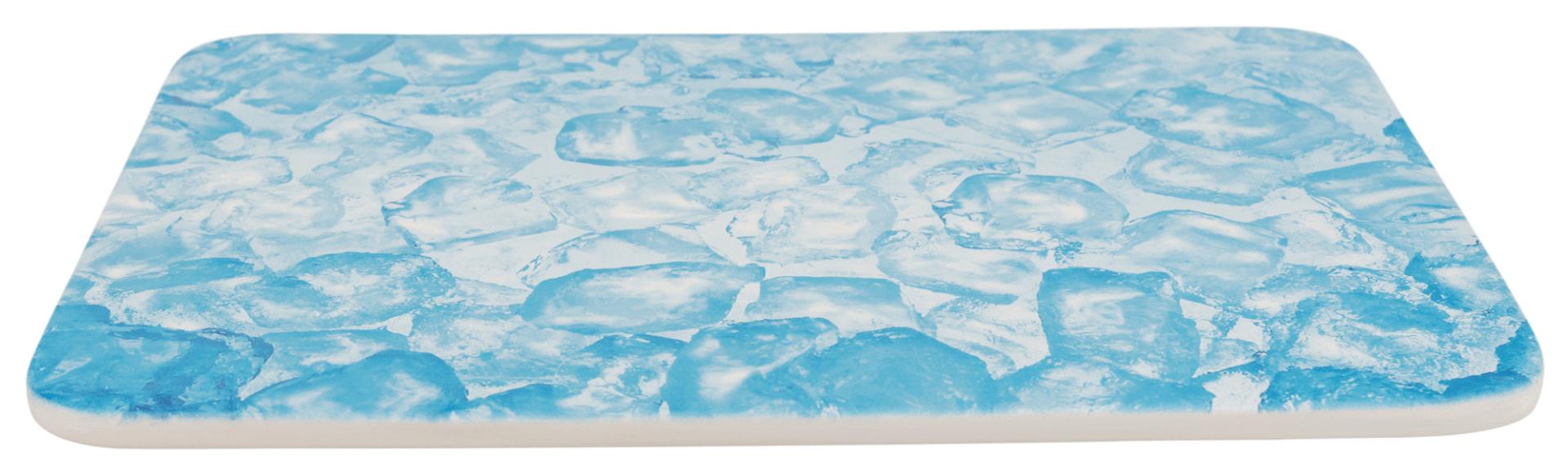 TRIXIE Kühlplatte, Meerschweinchen, Keramik, 28 x 20 cm, blau