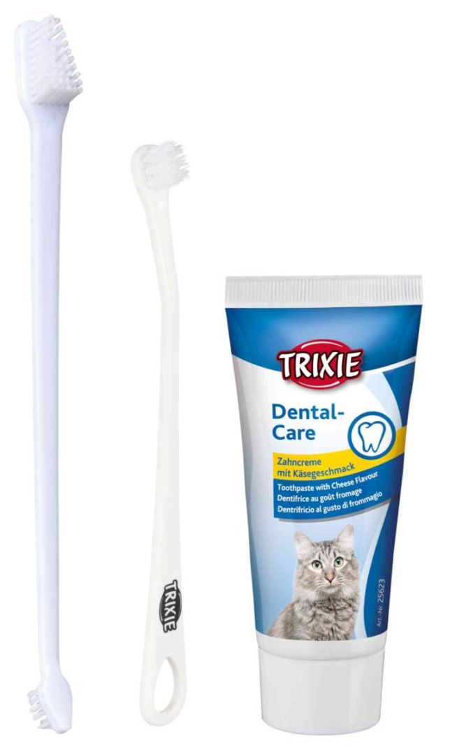 TRIXIE Zahnpflege-Set, Katze, 50 g